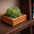 Green succulent in a wooden planter on a wooden shelf with books in the background