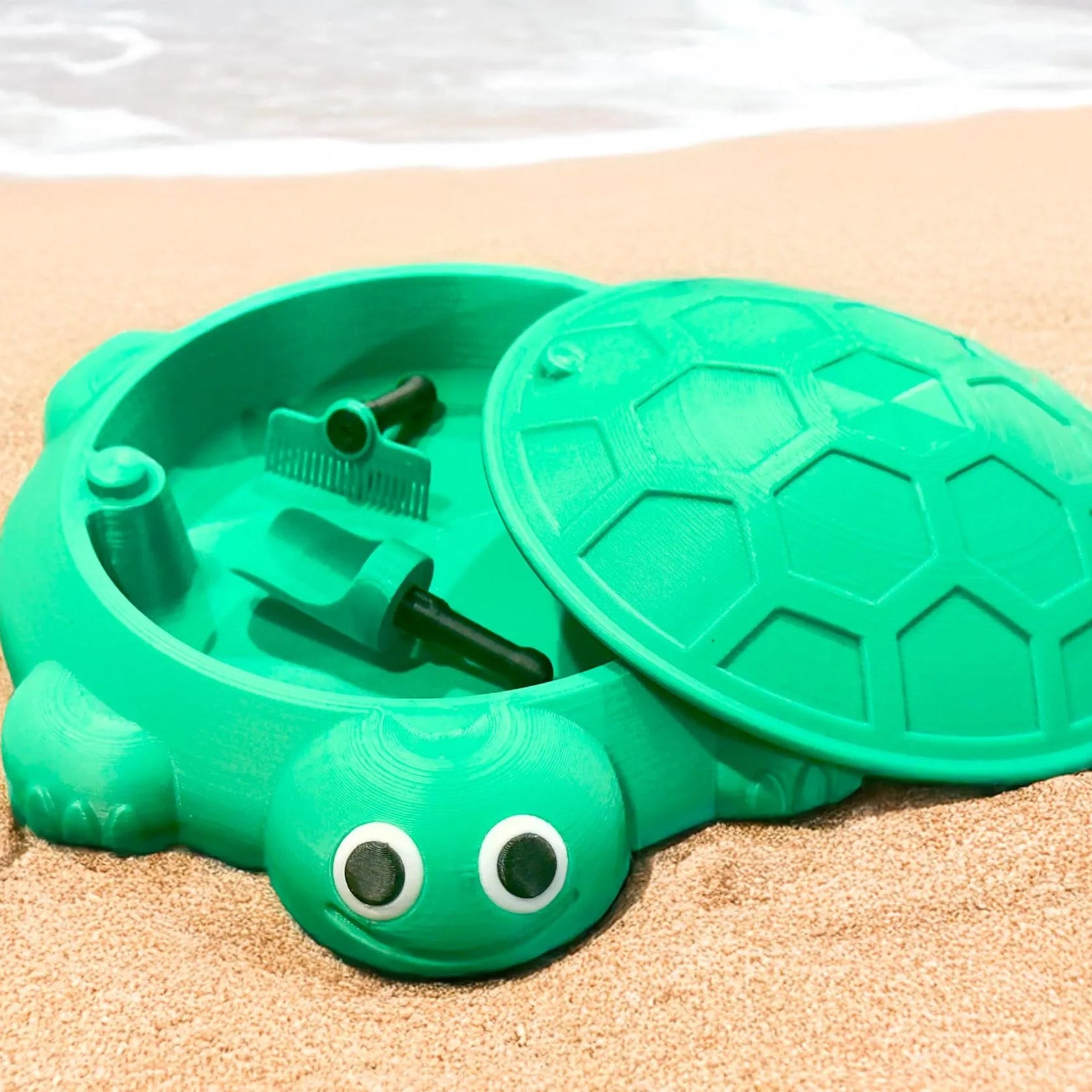 Mini Desktop Turtle Sandbox