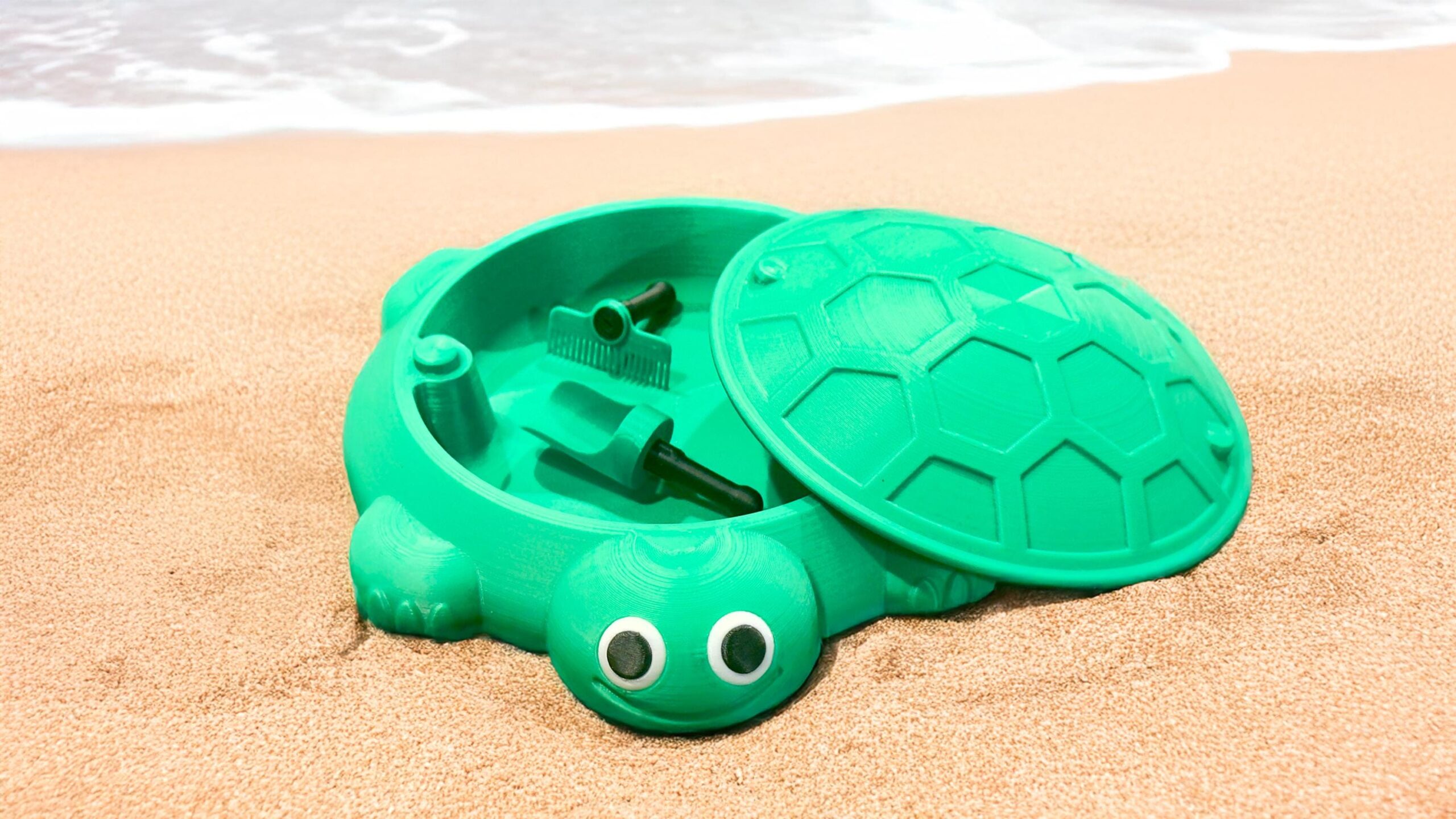 Mini Desktop Turtle Sandbox